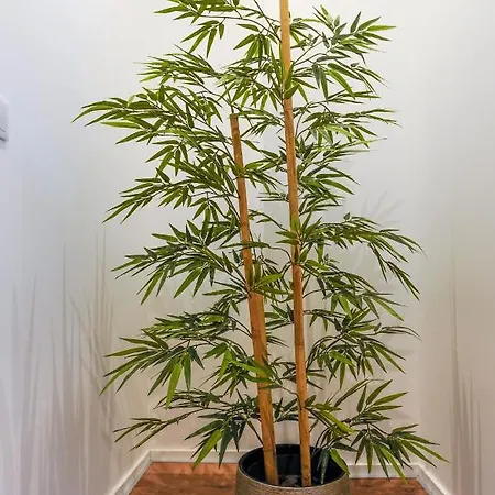 Boutique Гостевой дом Монтижу